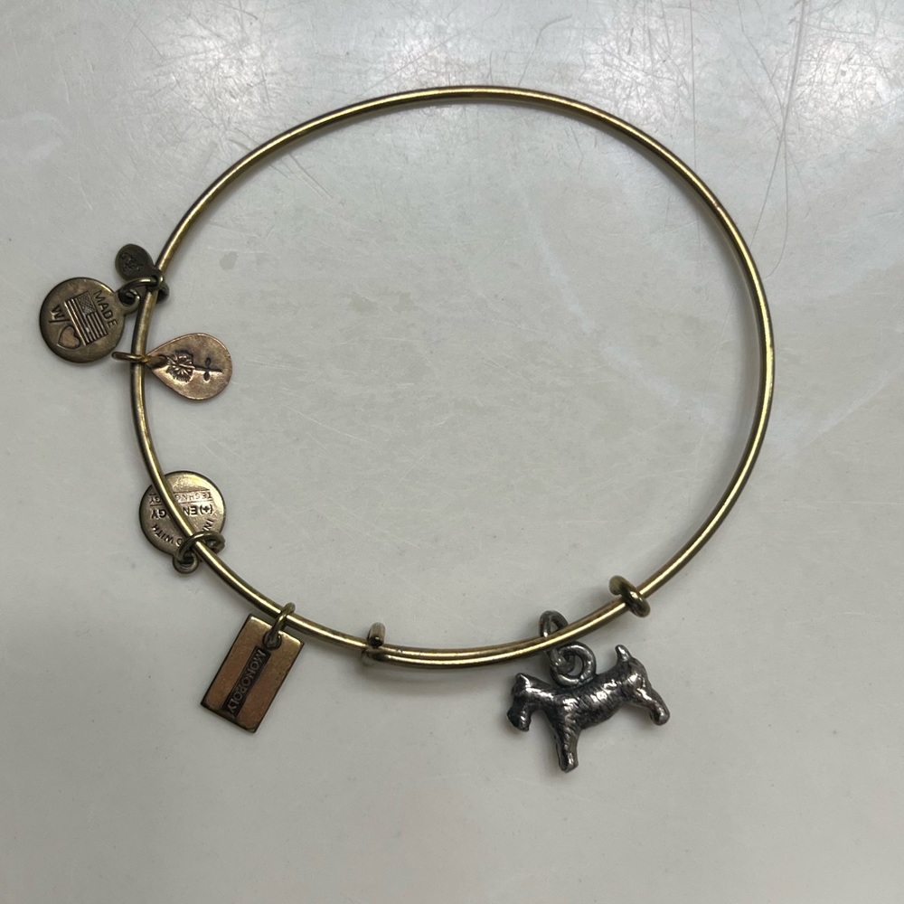 Alex and Ani x Monopoly Dog bangle bracelet